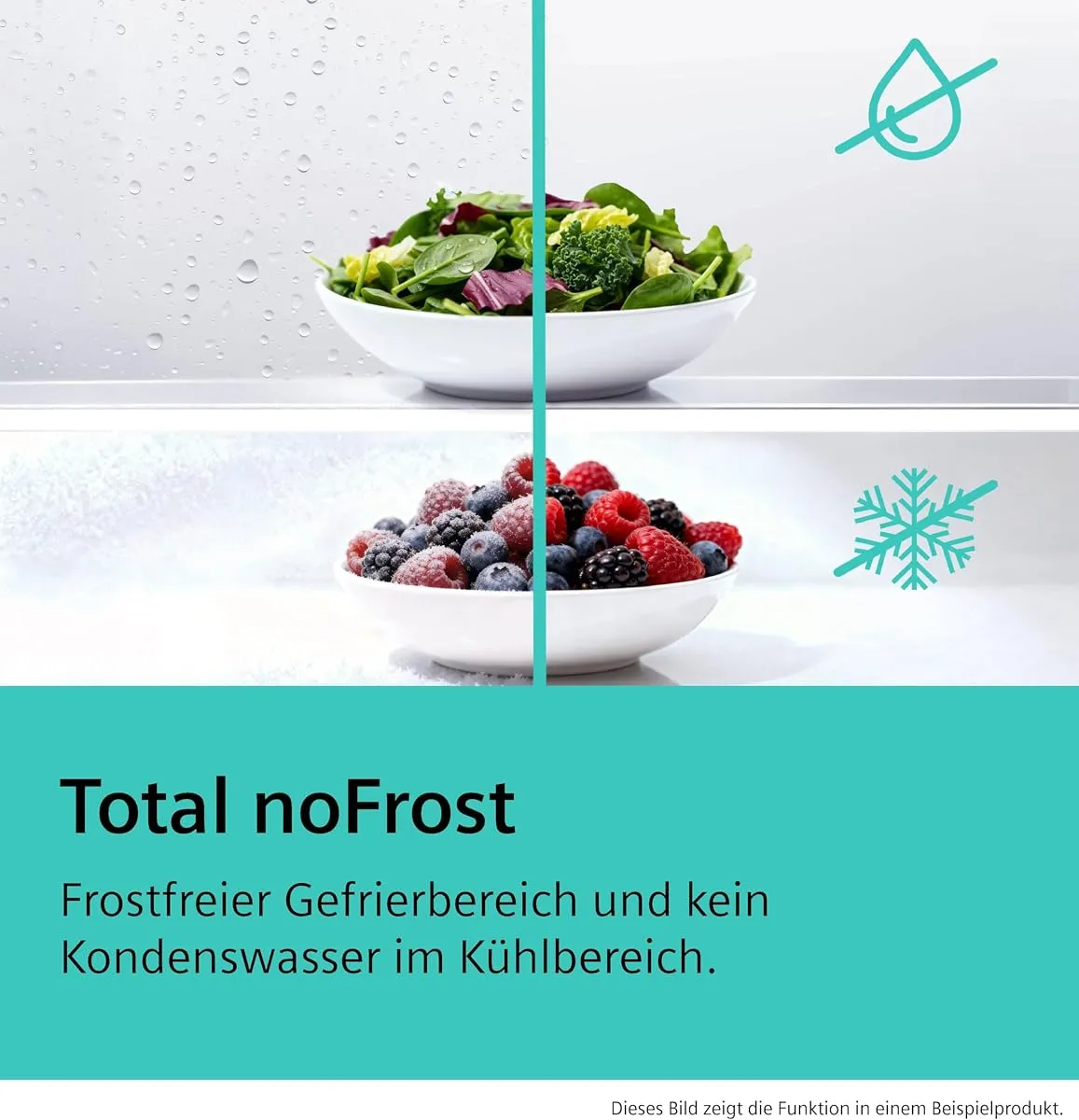 Siemens KG36NVIBG iQ300 Freistehende Kühl-Gefrier-Kombination 186 x 60 cm Total noFrost – Produktbild 3 von 9