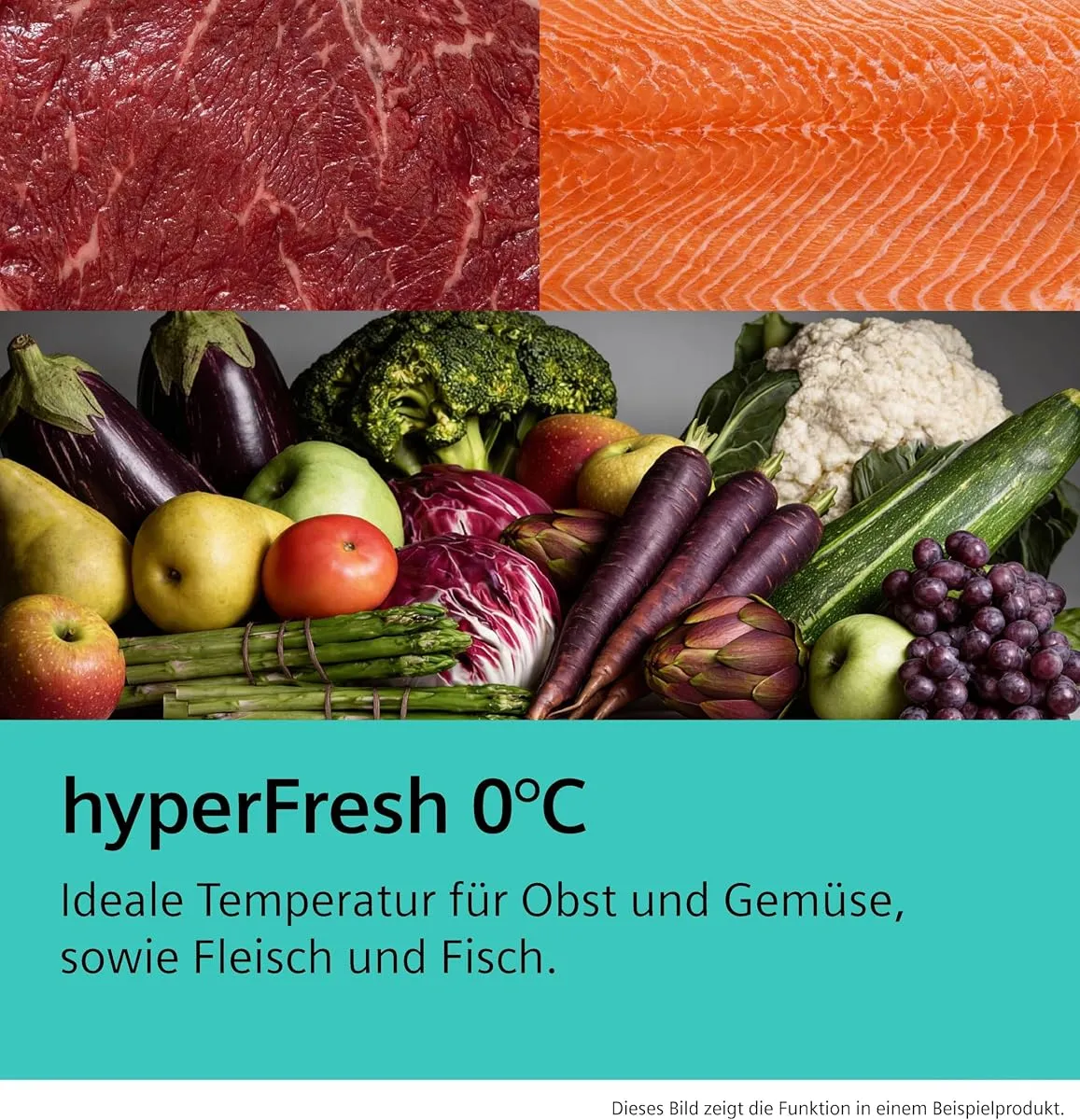 Siemens KS36NAICG iQ500 Freistehender XXL Kühlschrank 402 L Total noFrost – Produktbild 4 von 10